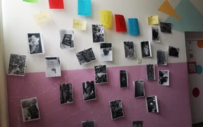 Cijelu godinu kroz objektiv – fotografska grupa naše škole